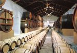 In Cantina per Conoscere e Degustare