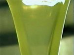 L'Olio Extra Vergine di Oliva